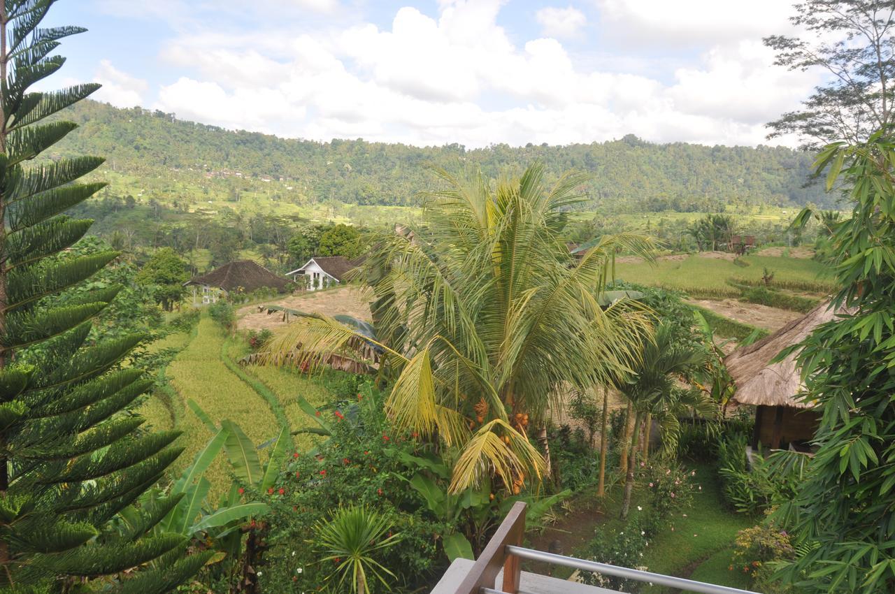 Villa Shantiasa Bali Sidemen  Zewnętrze zdjęcie